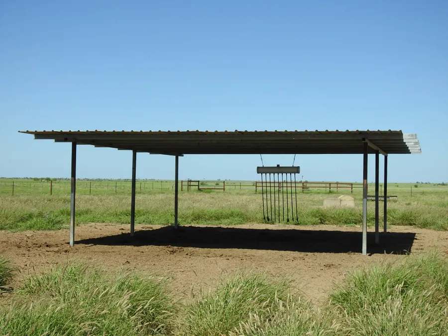 “Lonesome Dove”, Richmond Sold by Farmbuy.com - image 29