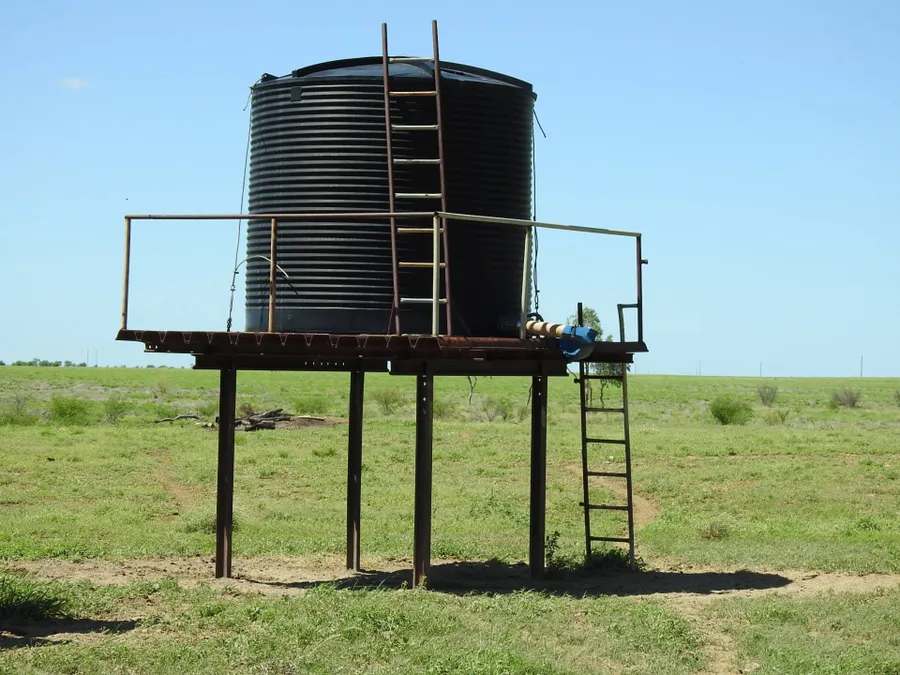 “Lonesome Dove”, Richmond Sold by Farmbuy.com - image 31