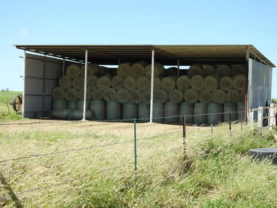 “Lonesome Dove”, Richmond Sold by Farmbuy.com - image 23