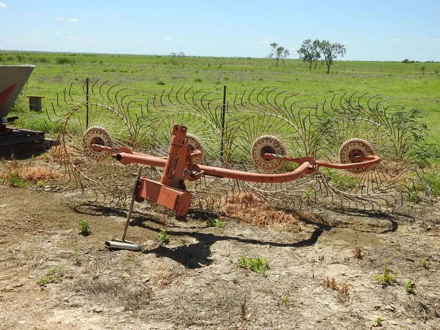 “Lonesome Dove”, Richmond Sold by Farmbuy.com - image 41