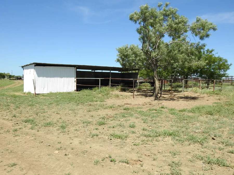 “Lonesome Dove”, Richmond Sold by Farmbuy.com - image 30