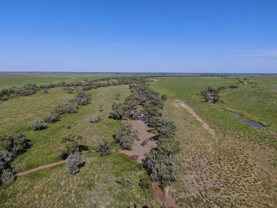 “Lonesome Dove”, Richmond Sold by Farmbuy.com - image 22