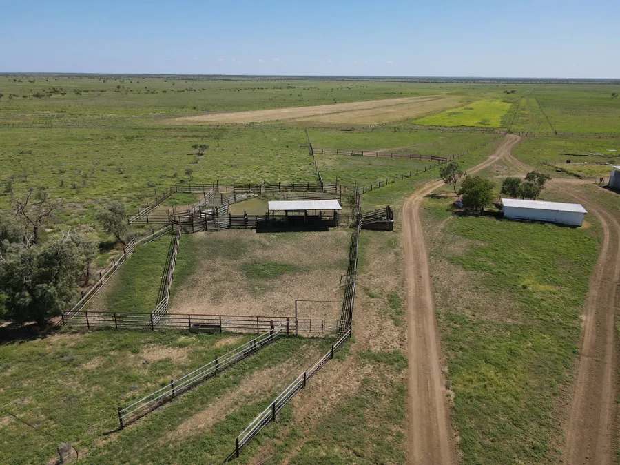 “Lonesome Dove”, Richmond Sold by Farmbuy.com - image 14