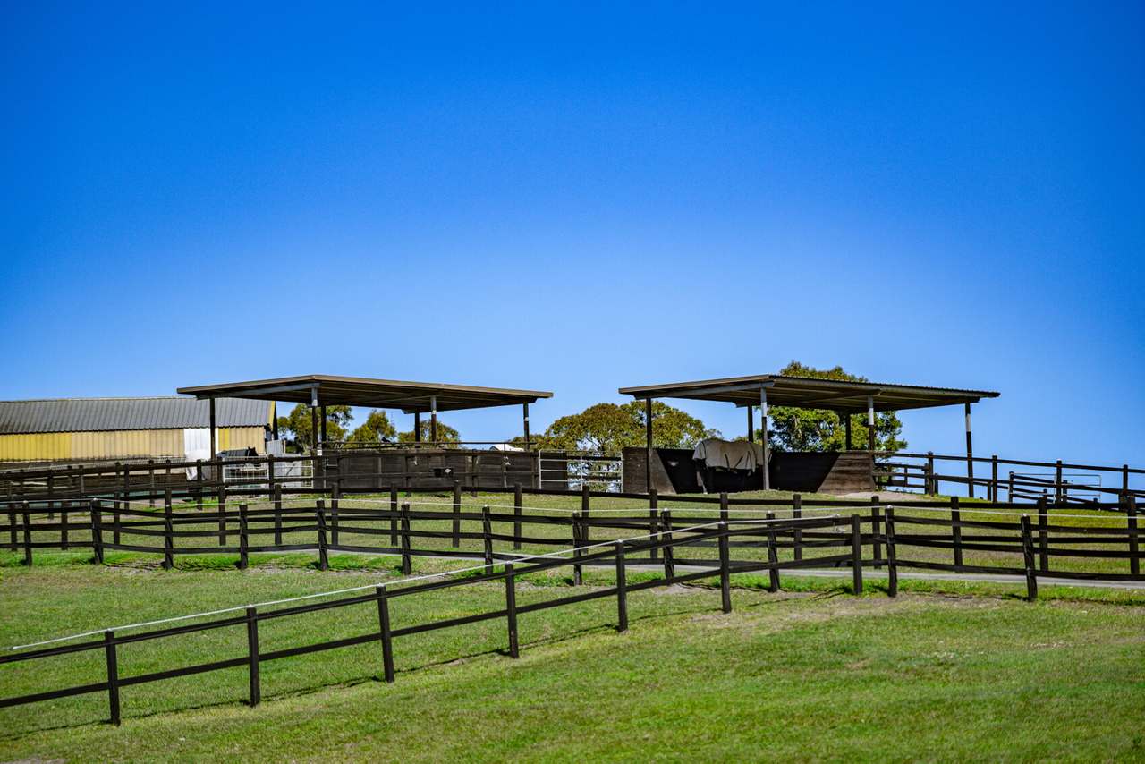 78 Albert Road , Draper For Sale by Farmbuy.com - image 16