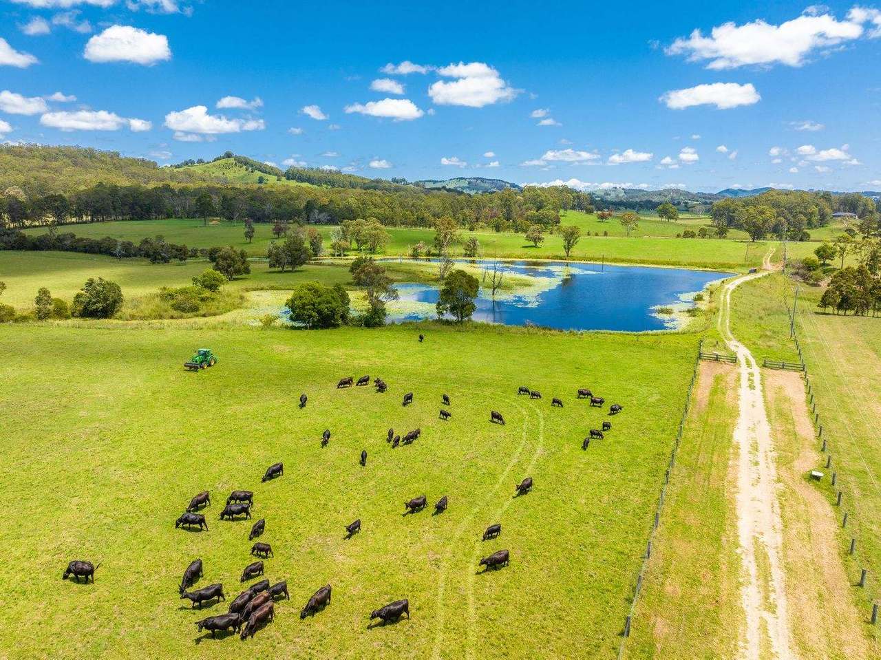 Firefly  For Sale by Farmbuy.com - image 6