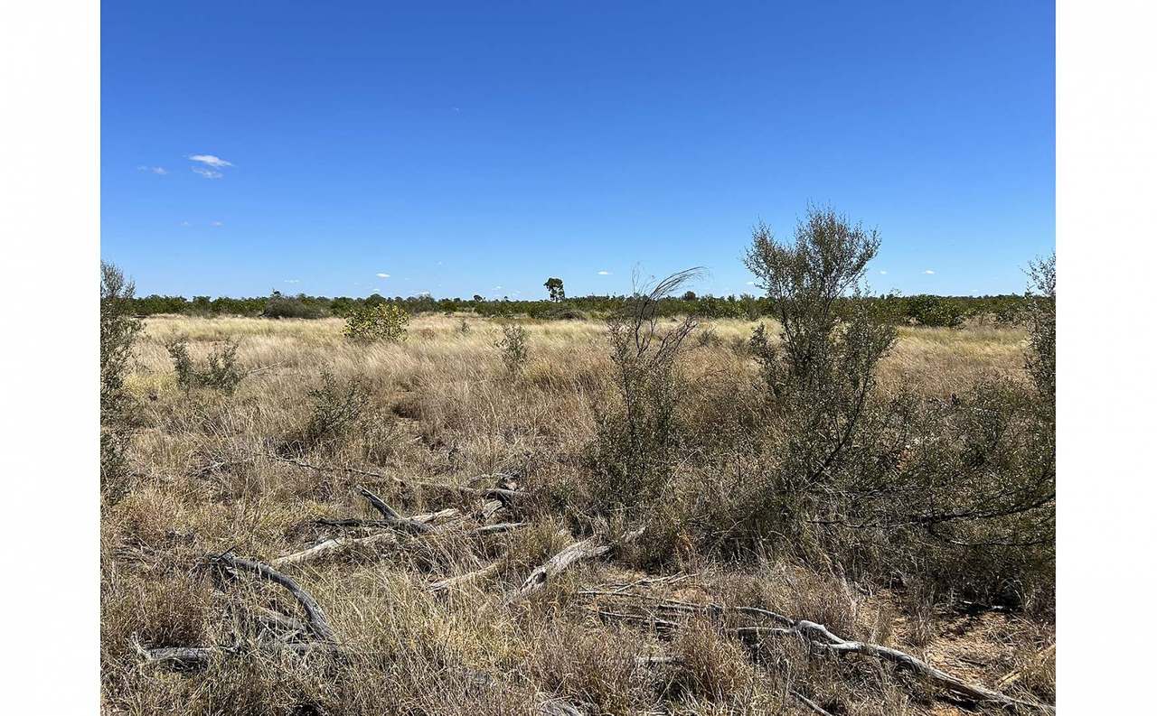 12820 Middle Road, St George Auction by Farmbuy.com - image 9
