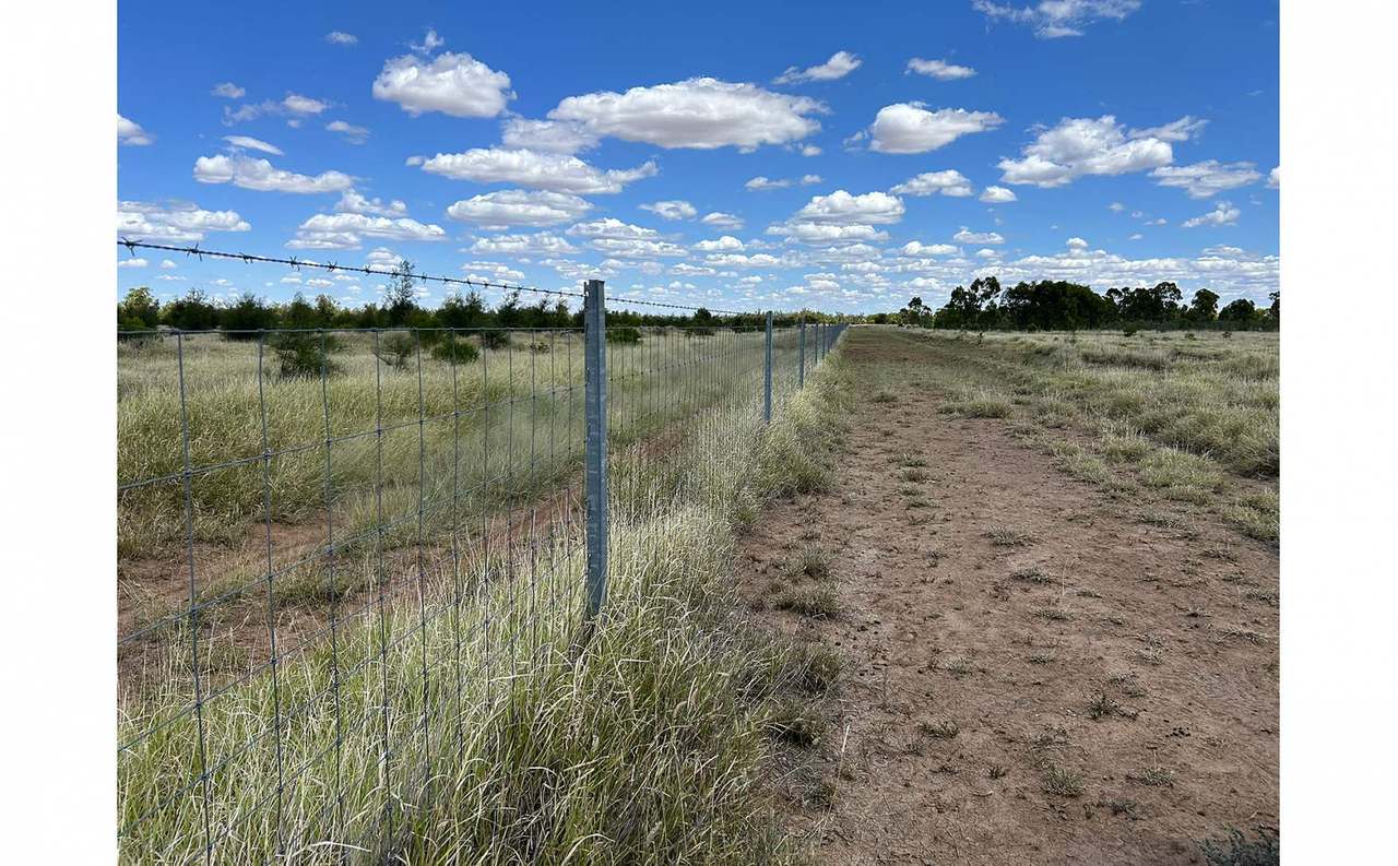12820 Middle Road, St George Auction by Farmbuy.com - image 10