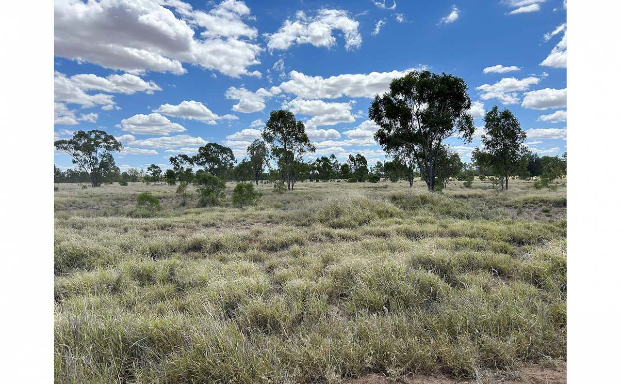 12820 Middle Road, St George Auction by Farmbuy.com - image 3
