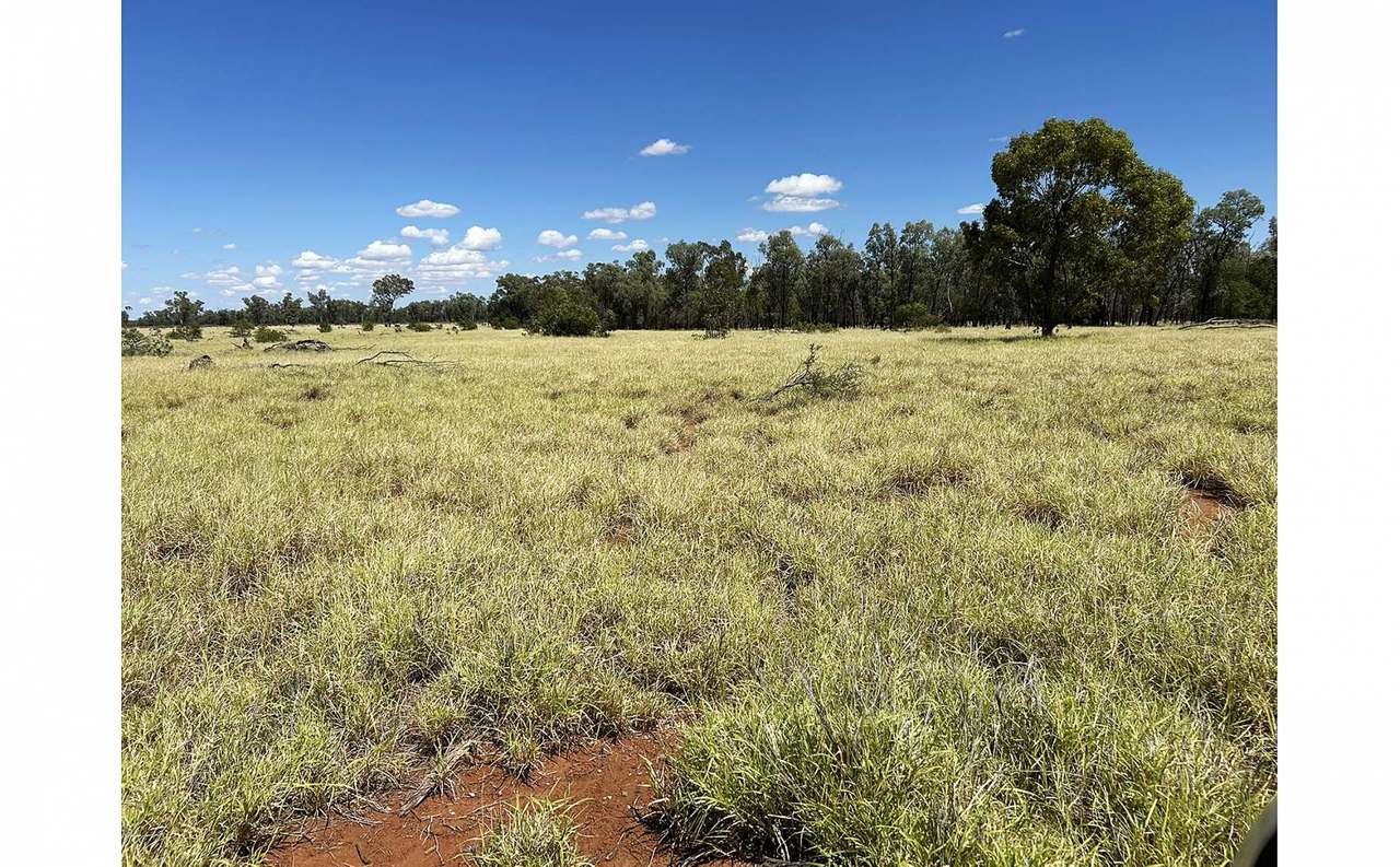 12820 Middle Road, St George Auction by Farmbuy.com - image 7