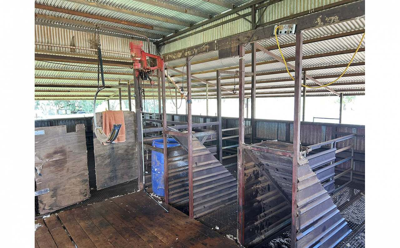 12820 Middle Road, St George Auction by Farmbuy.com - image 16