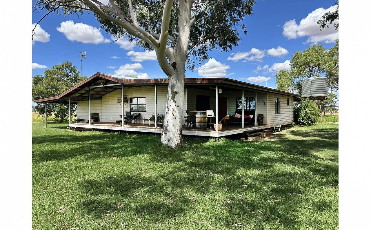 12820 Middle Road, St George Auction by Farmbuy.com - image 8