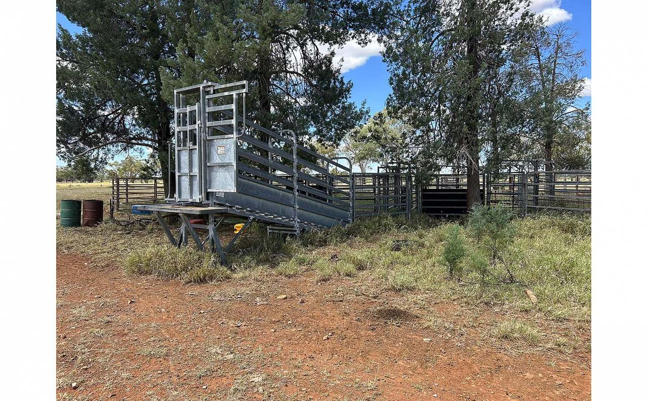 12820 Middle Road, St George Auction by Farmbuy.com - image 17
