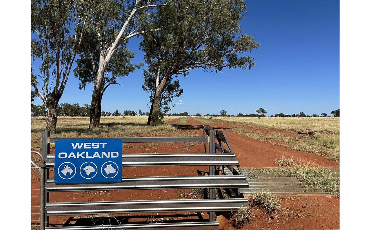 12820 Middle Road, St George Auction by Farmbuy.com - image 2