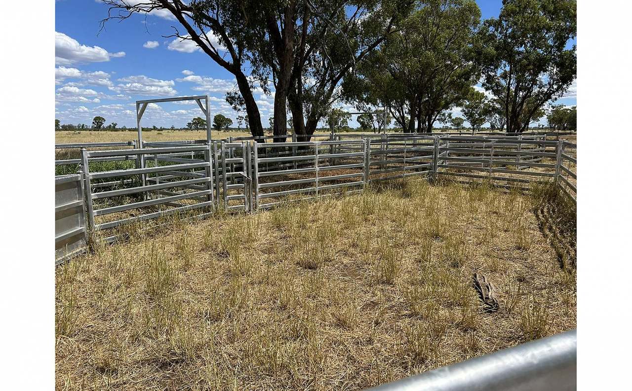 12820 Middle Road, St George Auction by Farmbuy.com - image 12