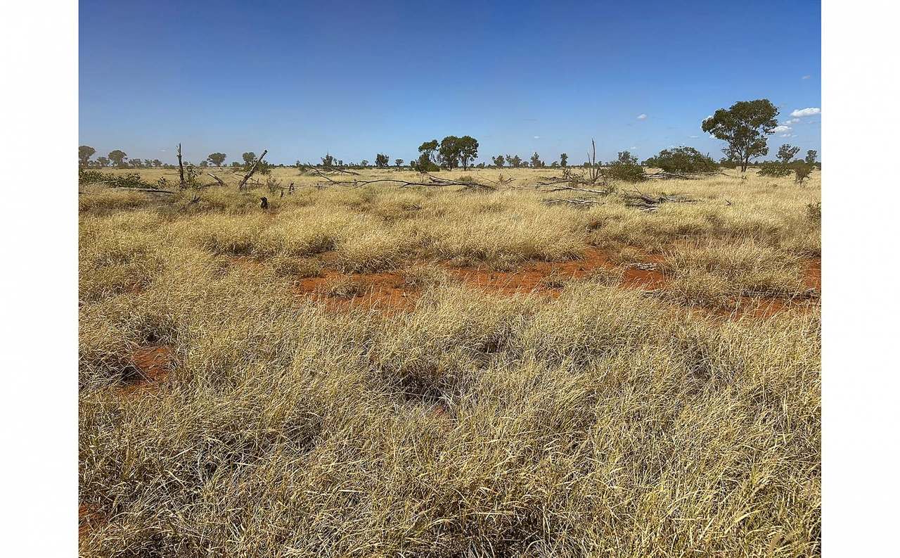 12820 Middle Road, St George Auction by Farmbuy.com - image 4