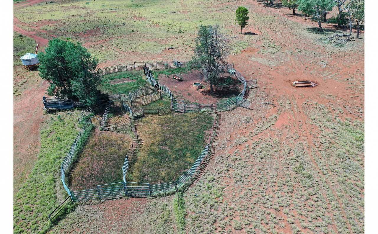 12820 Middle Road, St George Auction by Farmbuy.com - image 15