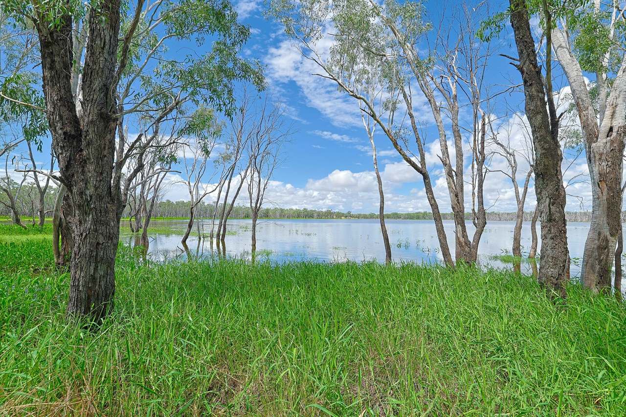 1638 Willows - Rutland Road , Willows  Sold by Farmbuy.com - image 14