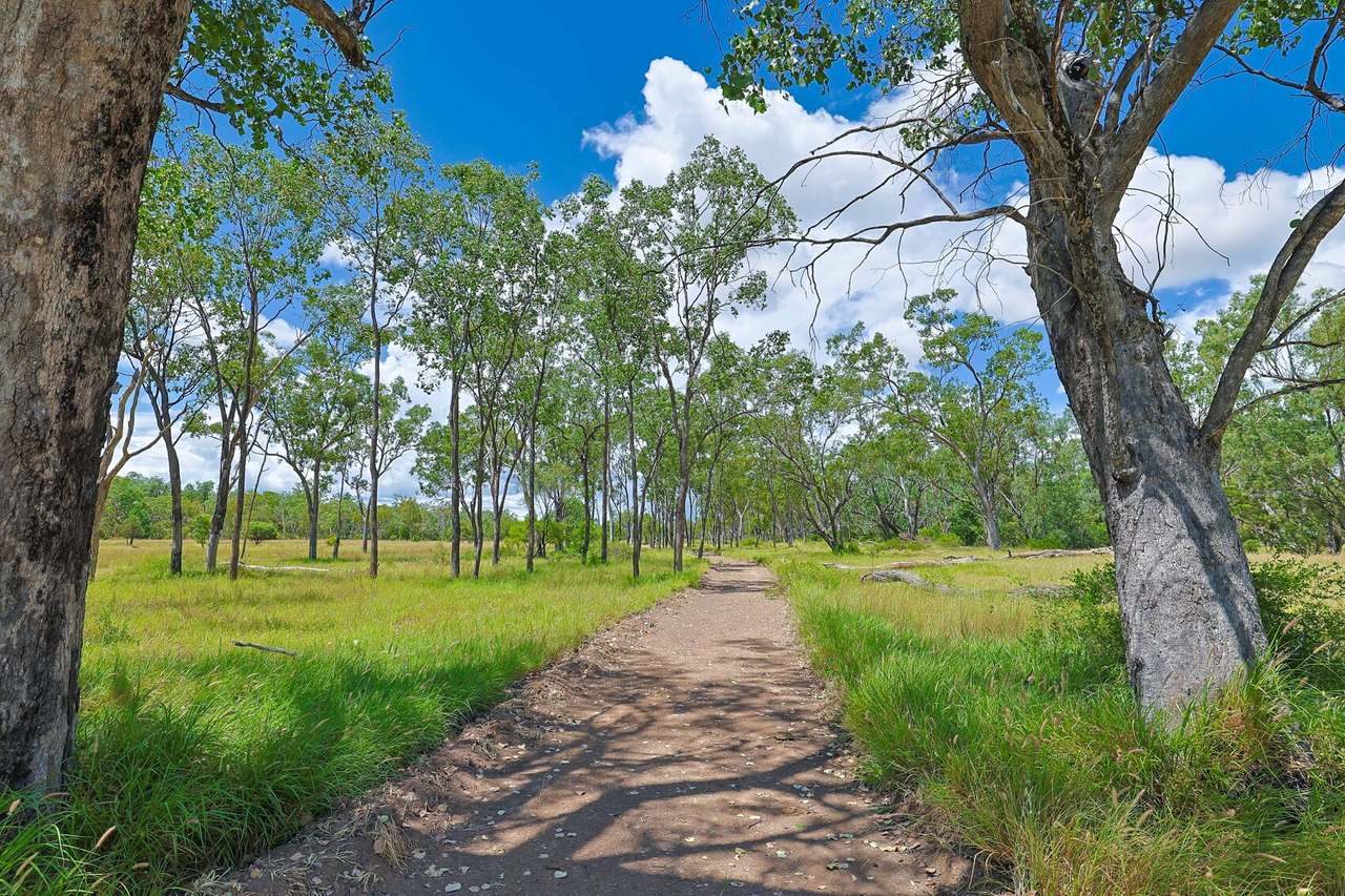1638 Willows - Rutland Road , Willows  Sold by Farmbuy.com - image 5