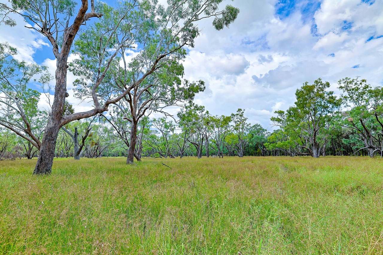 1638 Willows - Rutland Road , Willows  Sold by Farmbuy.com - image 7
