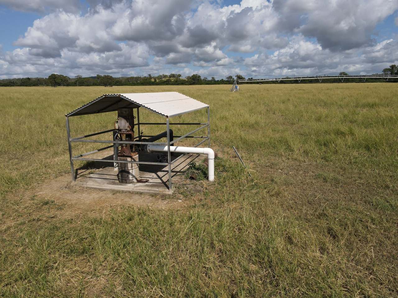 Gracemere Auction by Farmbuy.com - image 3
