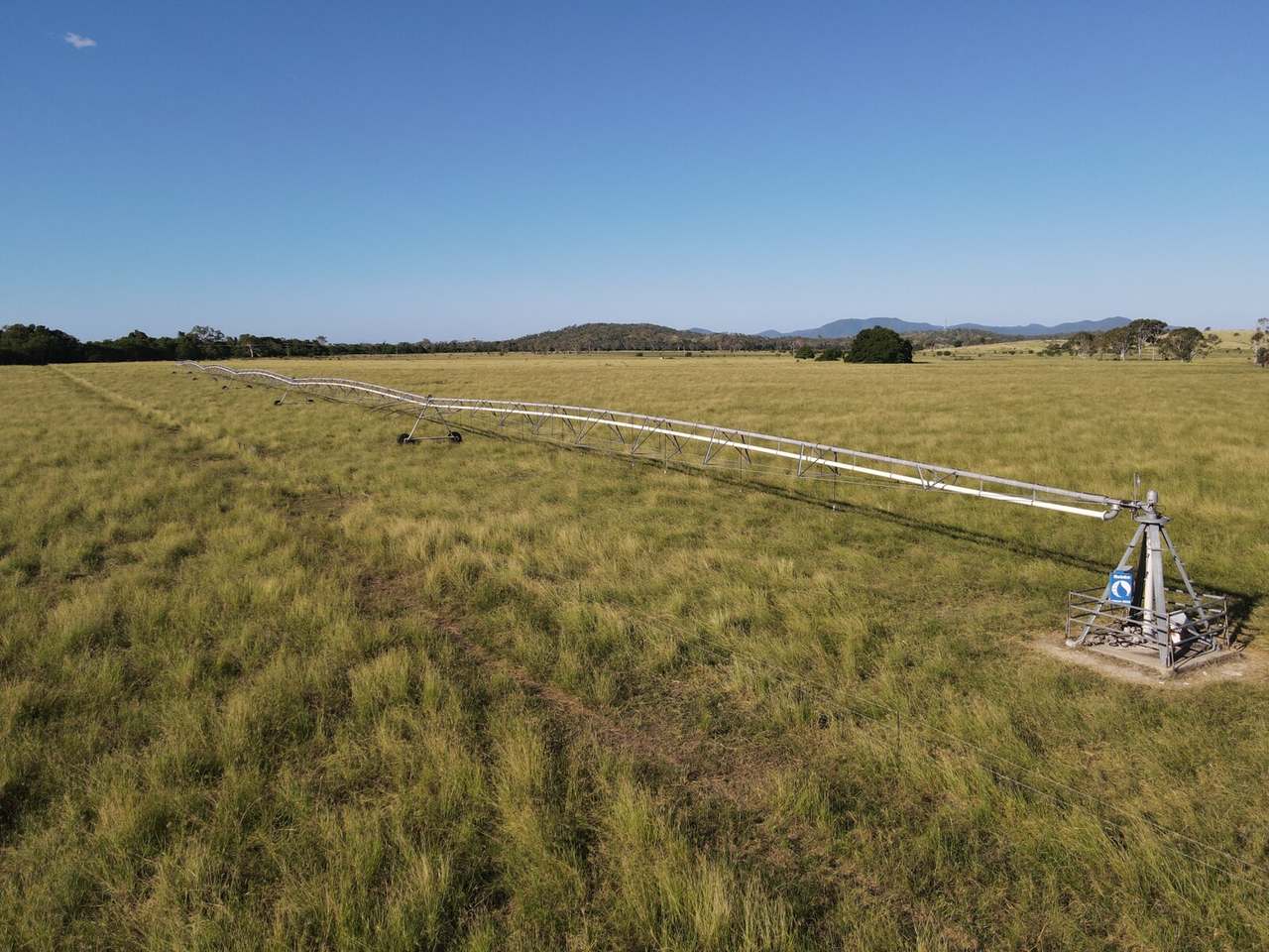 Gracemere Auction by Farmbuy.com - image 5