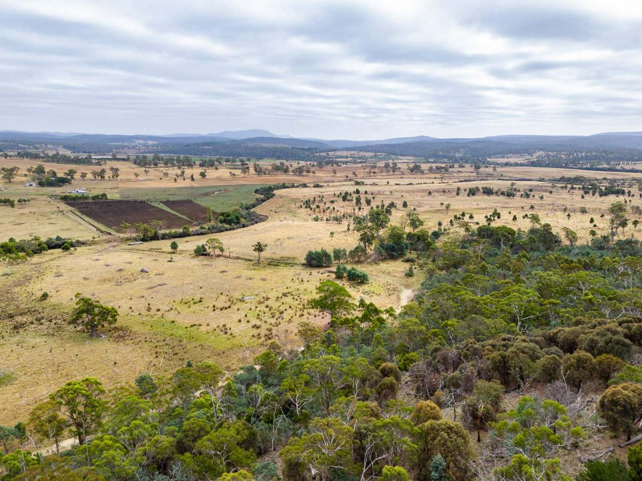 196 Court Farm Road, Buckland For Sale by Farmbuy.com - image 12