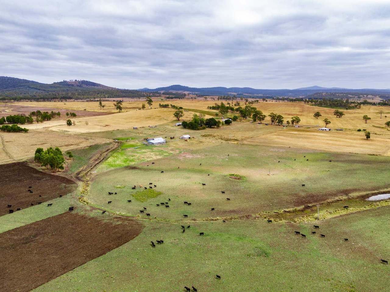 196 Court Farm Road, Buckland For Sale by Farmbuy.com - image 1