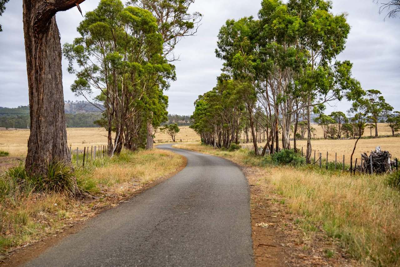 196 Court Farm Road, Buckland For Sale by Farmbuy.com - image 8