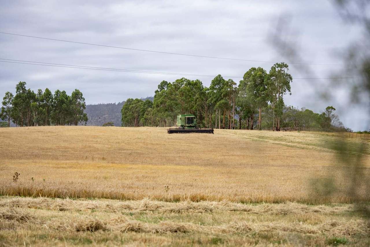 196 Court Farm Road, Buckland For Sale by Farmbuy.com - image 10