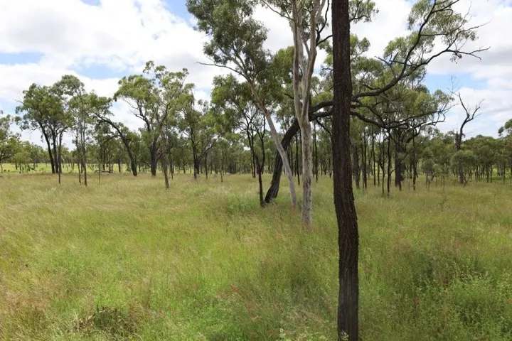 Lynd Highway, Charters Towers For Lease by Farmbuy.com - image 16