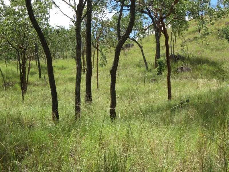 Lynd Highway, Charters Towers For Lease by Farmbuy.com - image 44
