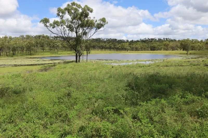 Lynd Highway, Charters Towers For Lease by Farmbuy.com - image 34