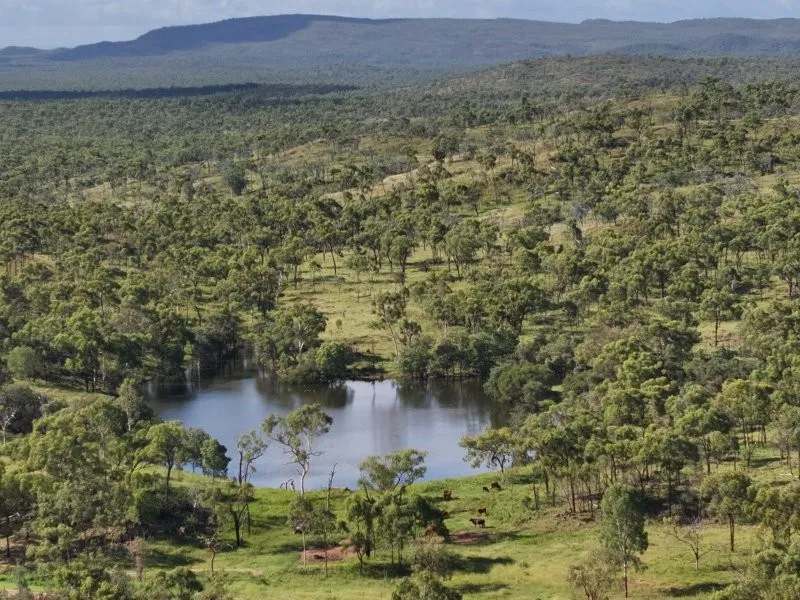 Lynd Highway, Charters Towers For Lease by Farmbuy.com - image 3
