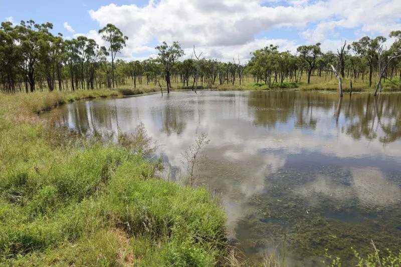 Lynd Highway, Charters Towers For Lease by Farmbuy.com - image 38