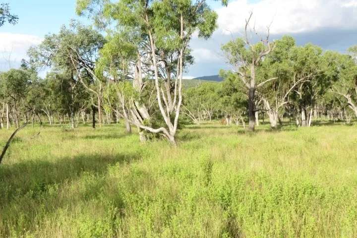 Lynd Highway, Charters Towers For Lease by Farmbuy.com - image 10