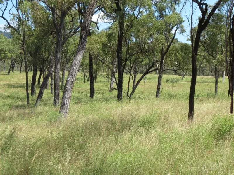 Lynd Highway, Charters Towers For Lease by Farmbuy.com - image 19