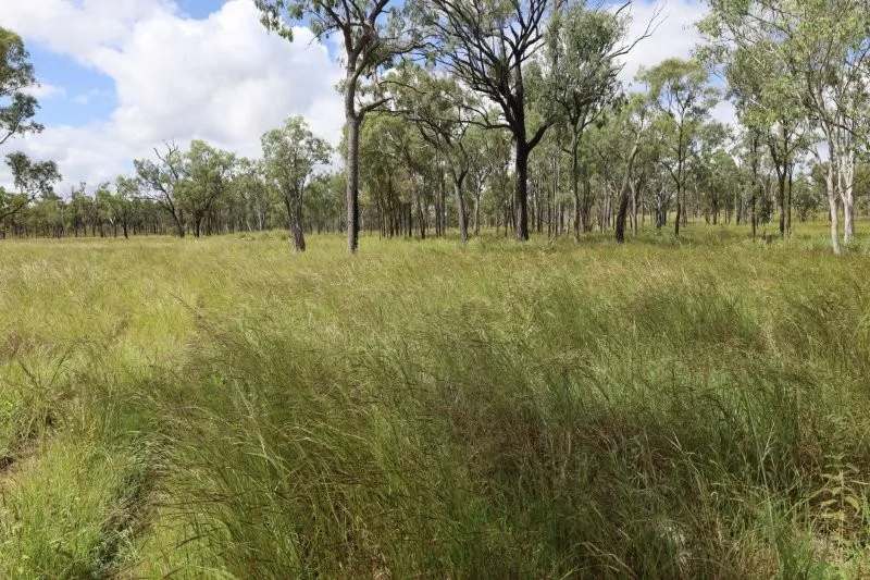 Lynd Highway, Charters Towers For Lease by Farmbuy.com - image 36