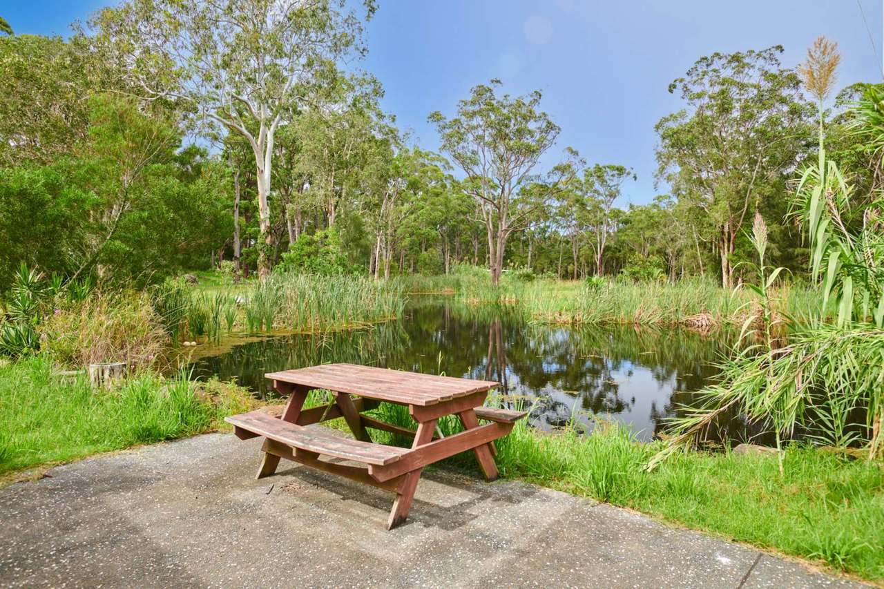 45 Racecourse Road, Bungwahl Sold by Farmbuy.com - image 12