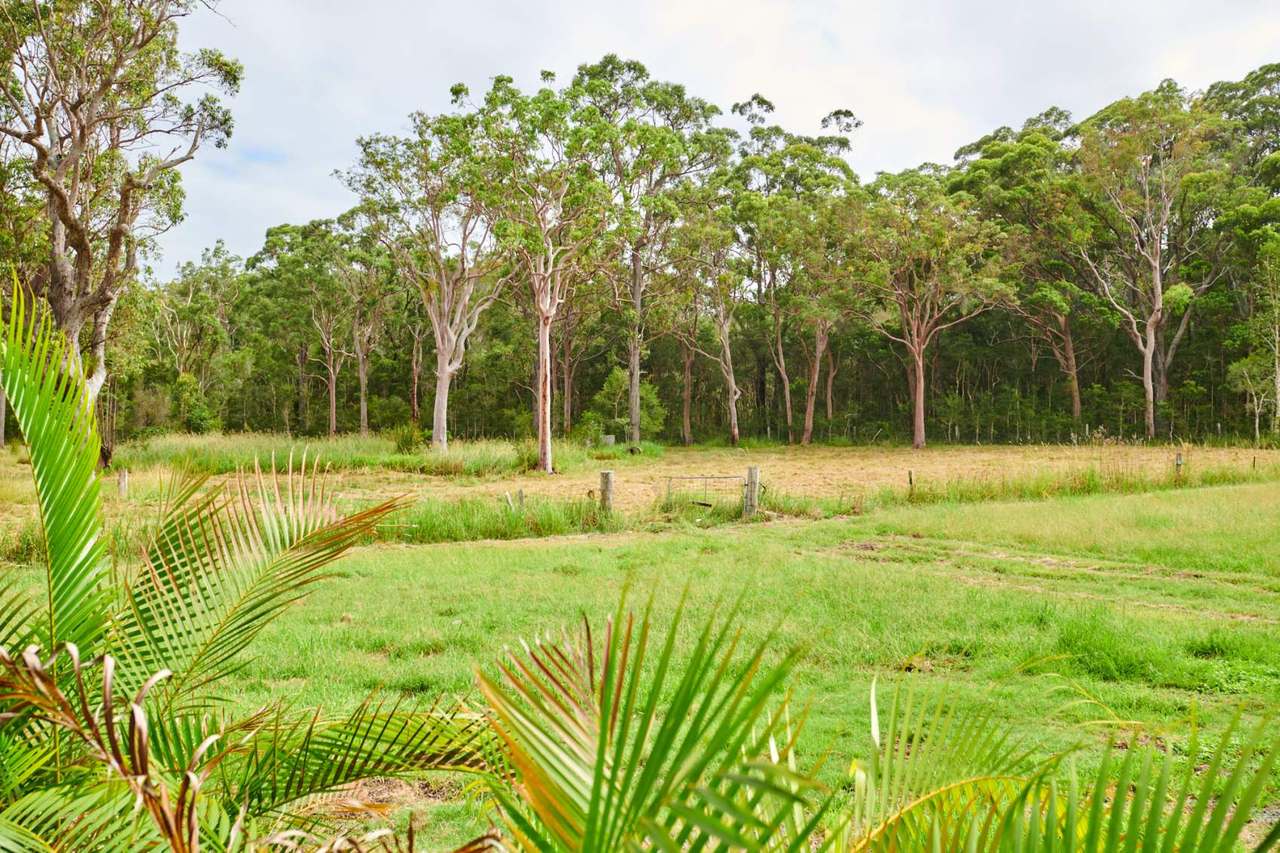 45 Racecourse Road, Bungwahl Sold by Farmbuy.com - image 34