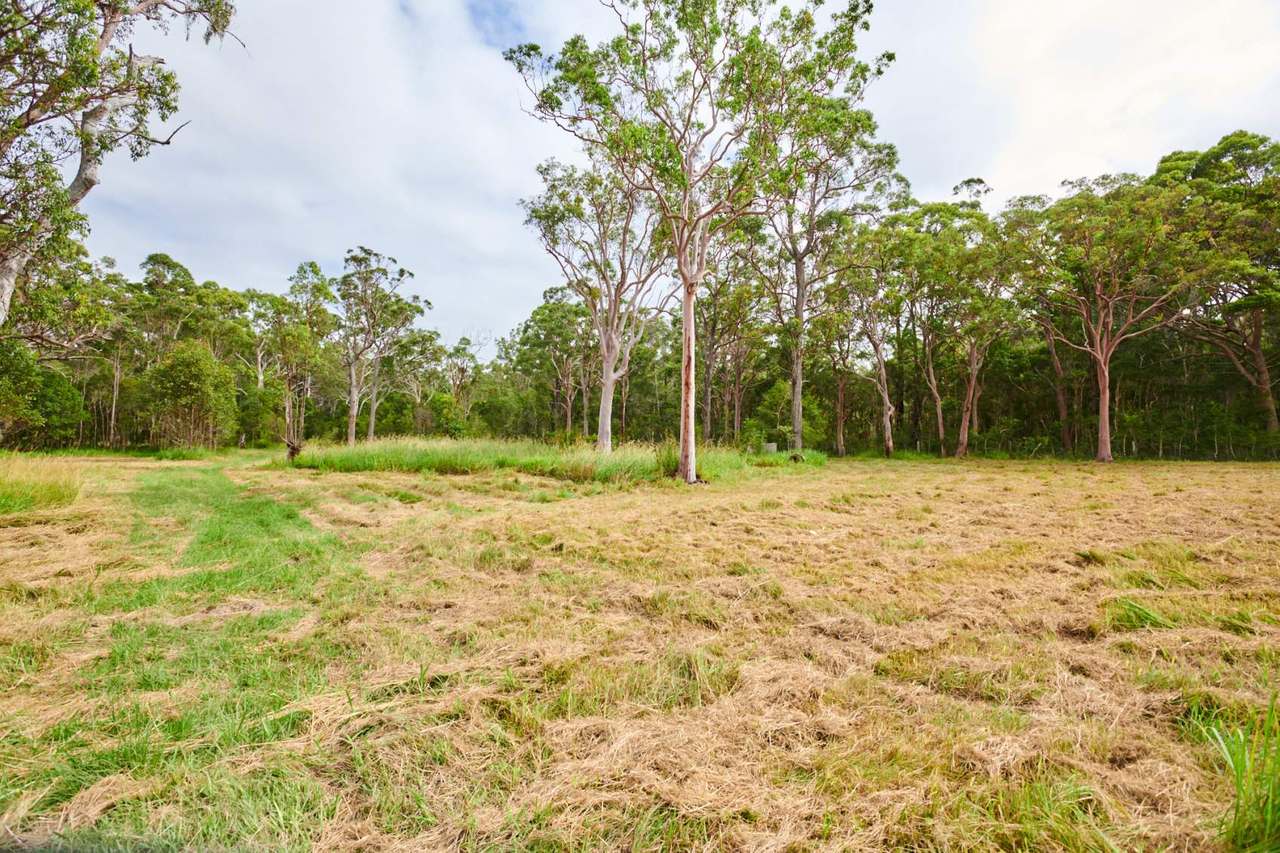 45 Racecourse Road, Bungwahl Sold by Farmbuy.com - image 42