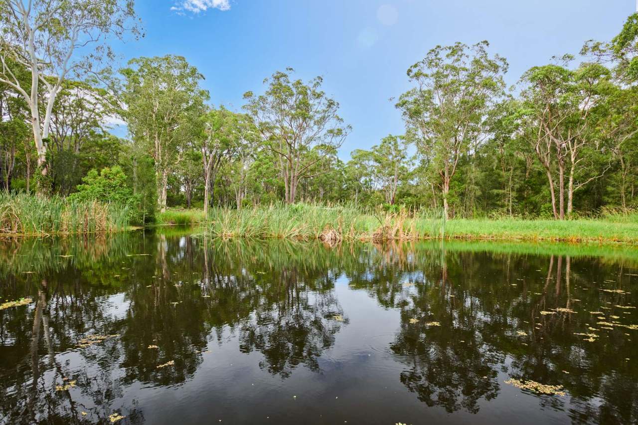 45 Racecourse Road, Bungwahl Sold by Farmbuy.com - image 14