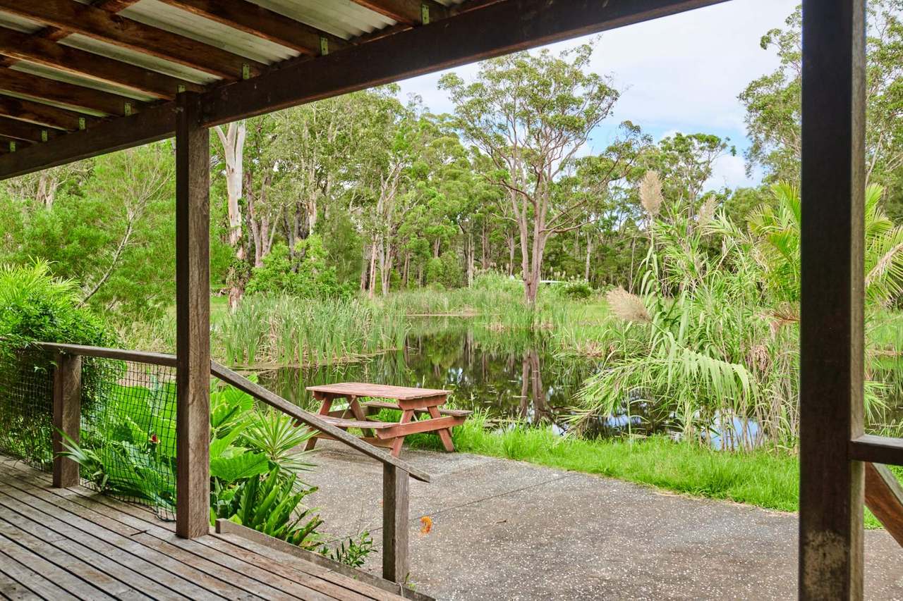 45 Racecourse Road, Bungwahl Sold by Farmbuy.com - image 44