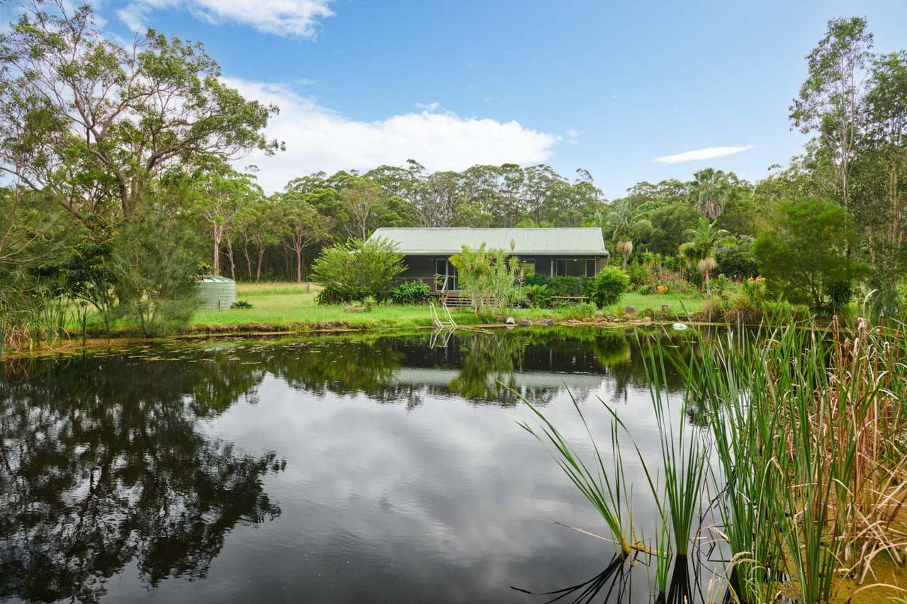 45 Racecourse Road, Bungwahl Sold by Farmbuy.com - image 13