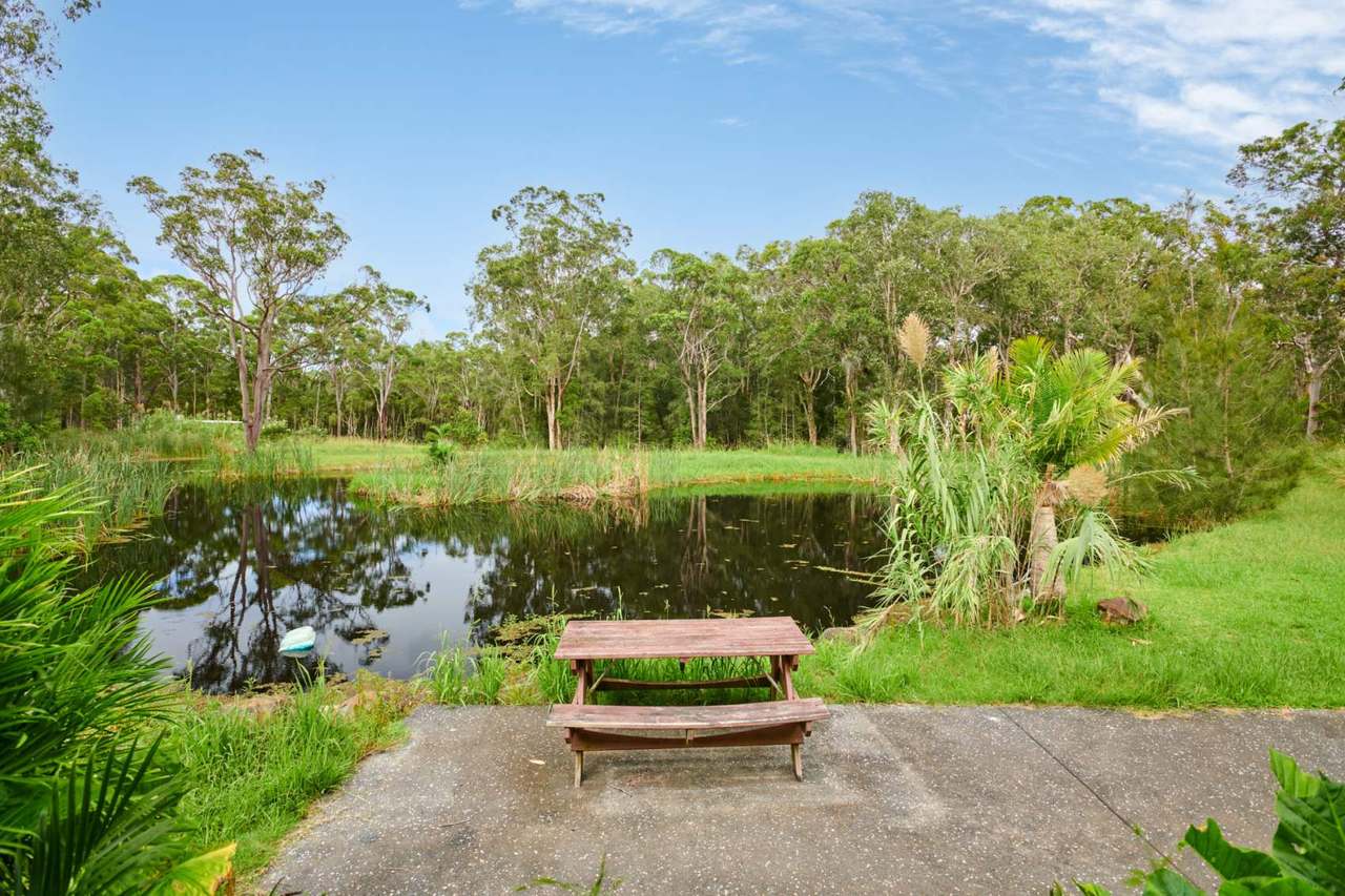 45 Racecourse Road, Bungwahl Sold by Farmbuy.com - image 11