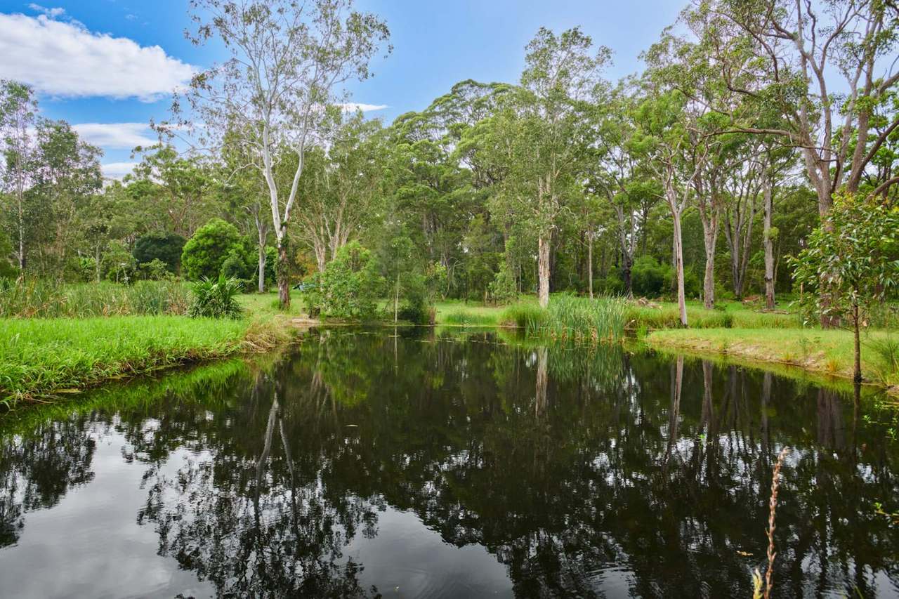 45 Racecourse Road, Bungwahl Sold by Farmbuy.com - image 15