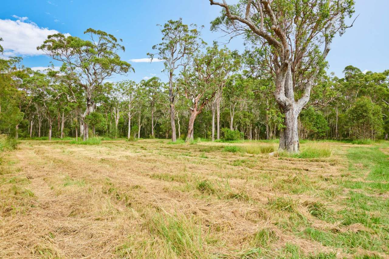 45 Racecourse Road, Bungwahl Sold by Farmbuy.com - image 41