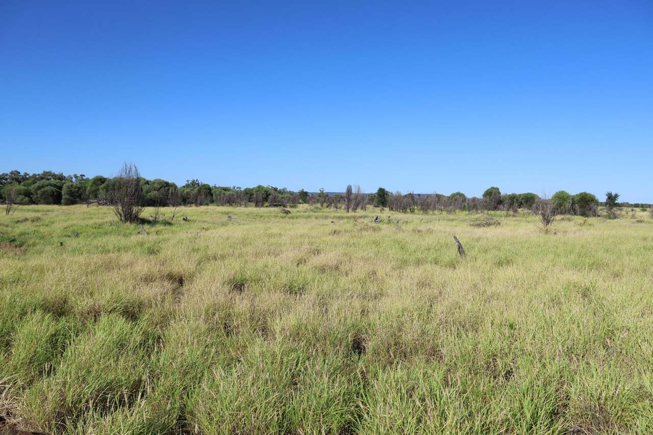 1468 Benlidi Idalia Road, Blackall For Sale by Farmbuy.com - image 15