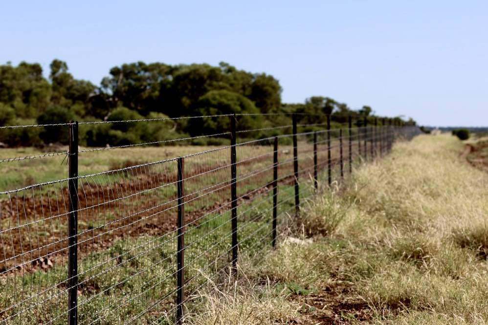 1468 Benlidi Idalia Road, Blackall For Sale by Farmbuy.com - image 12