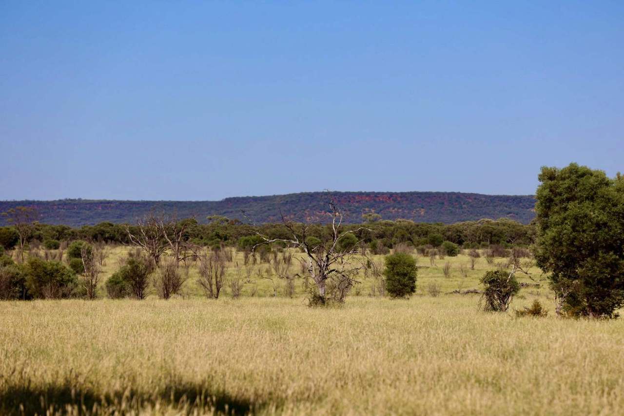 1468 Benlidi Idalia Road, Blackall For Sale by Farmbuy.com - image 5