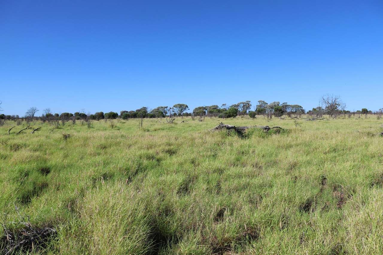1468 Benlidi Idalia Road, Blackall For Sale by Farmbuy.com - image 10